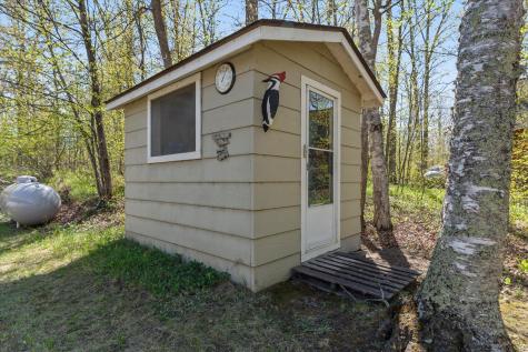 41293 Woodpecker Point Road Emily MN 56447
