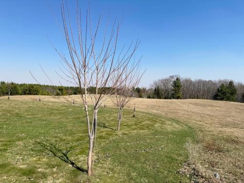 33702 370th Avenue Aitkin MN 56431