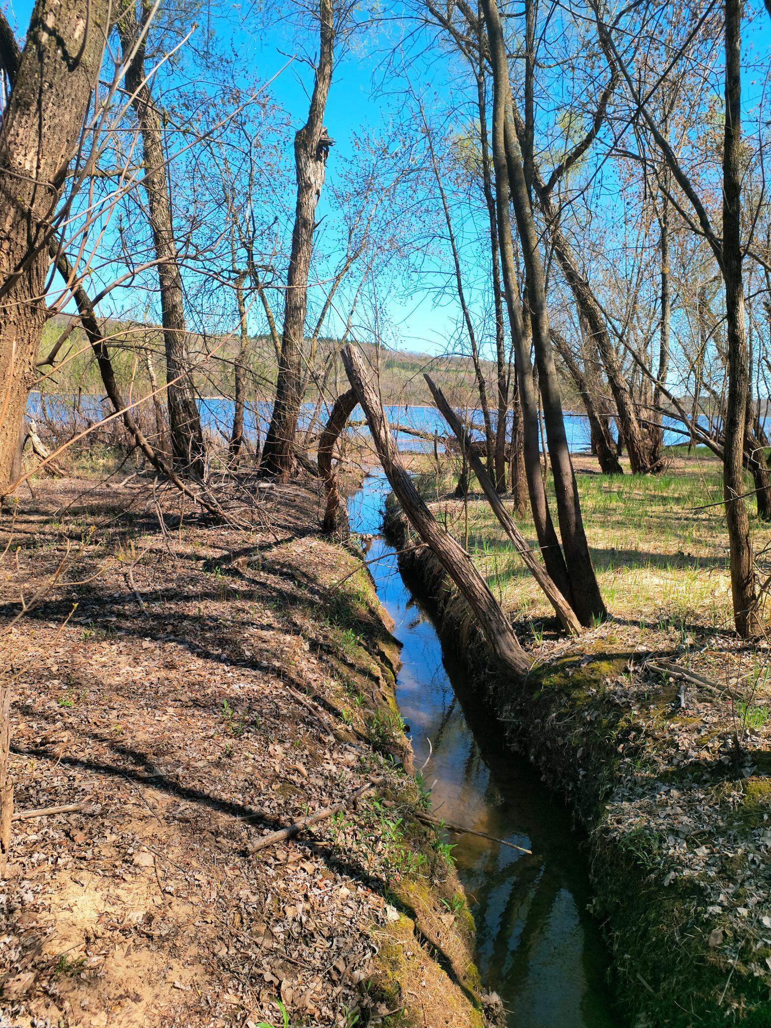 15955 35th Street S Afton MN 55001