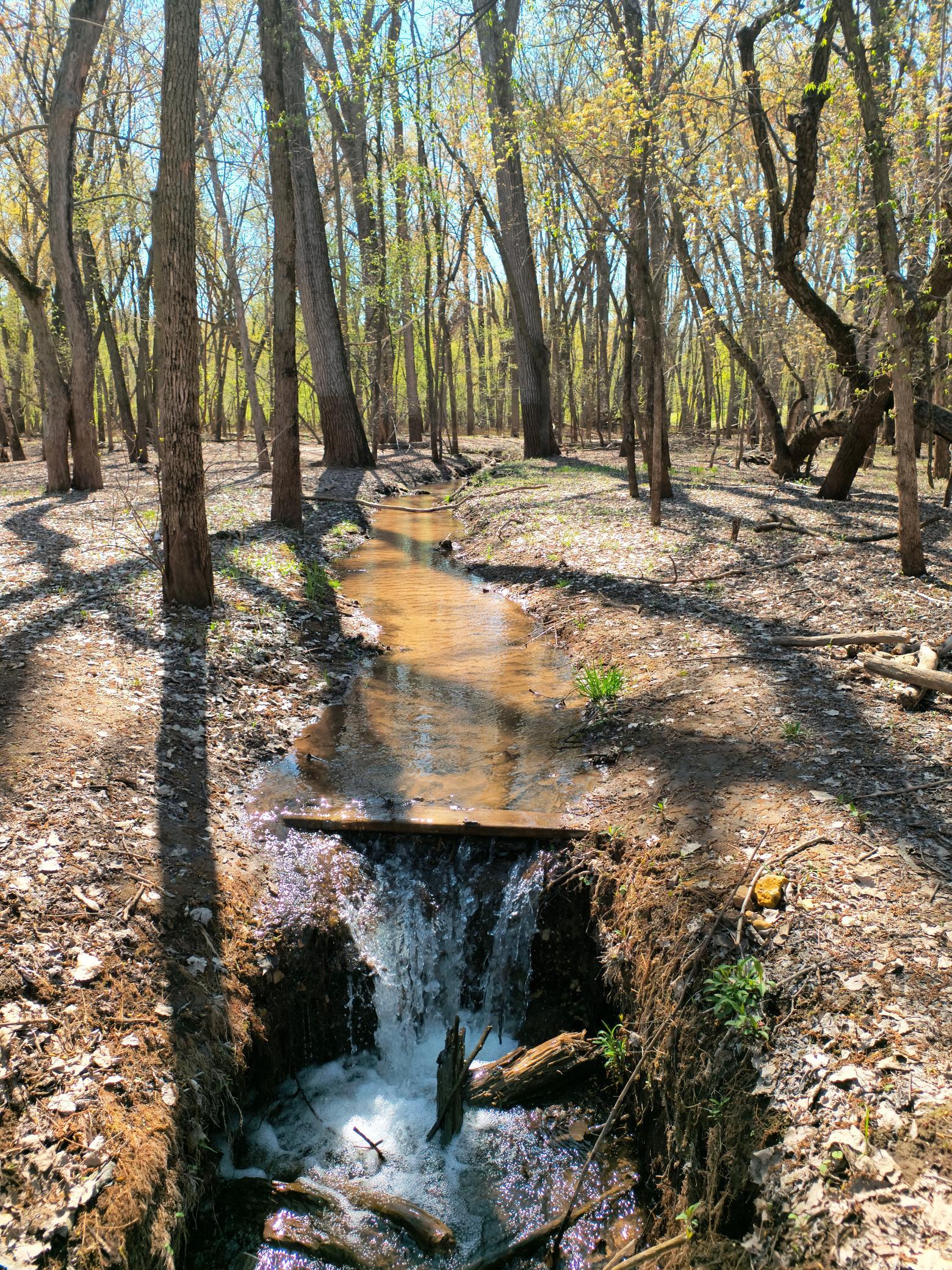 15955 35th Street S Afton MN 55001