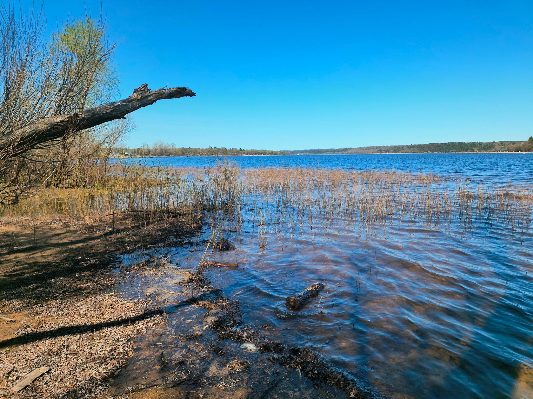 15955 35th Street S Afton MN 55001