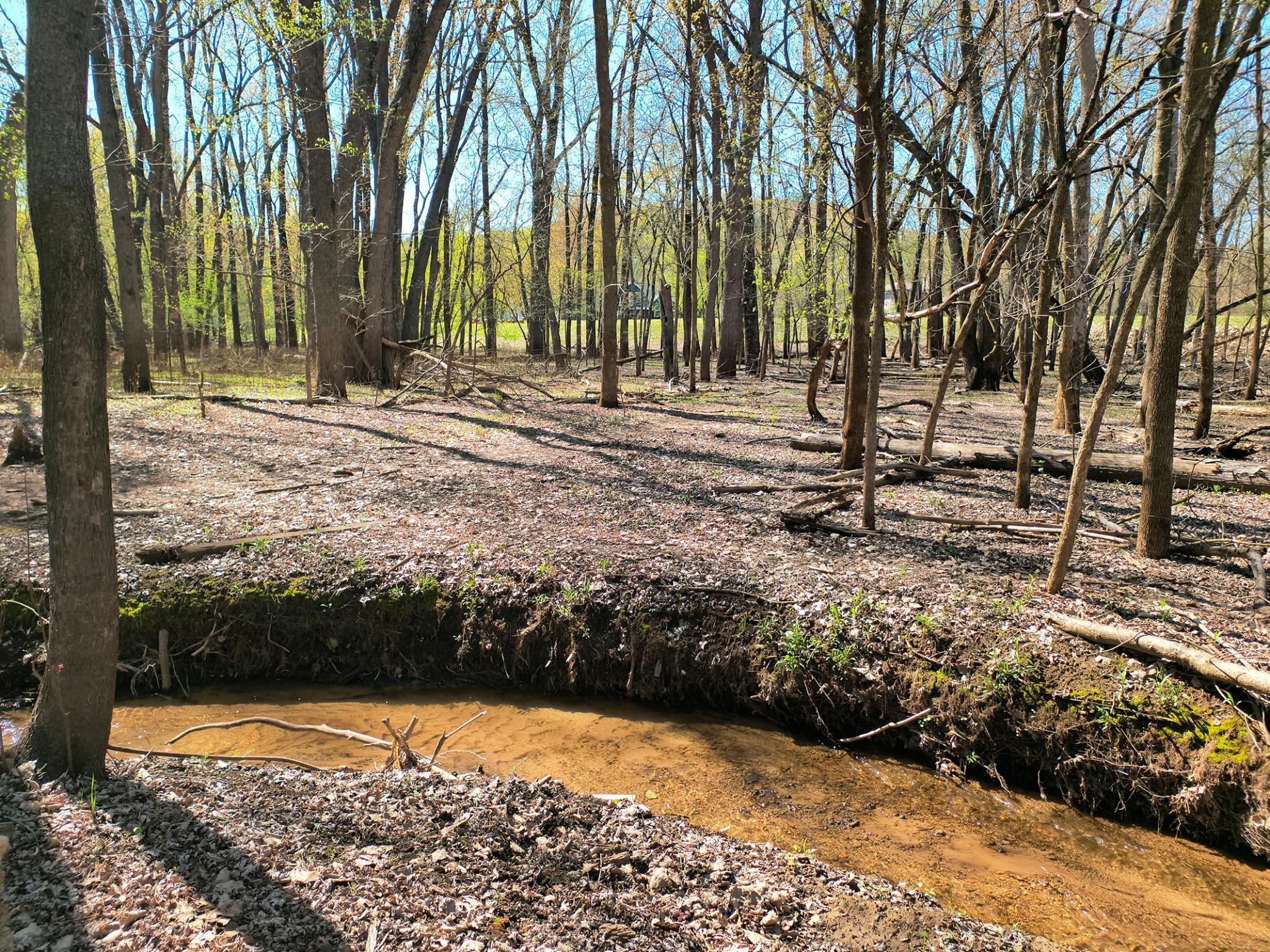 15955 35th Street S Afton MN 55001