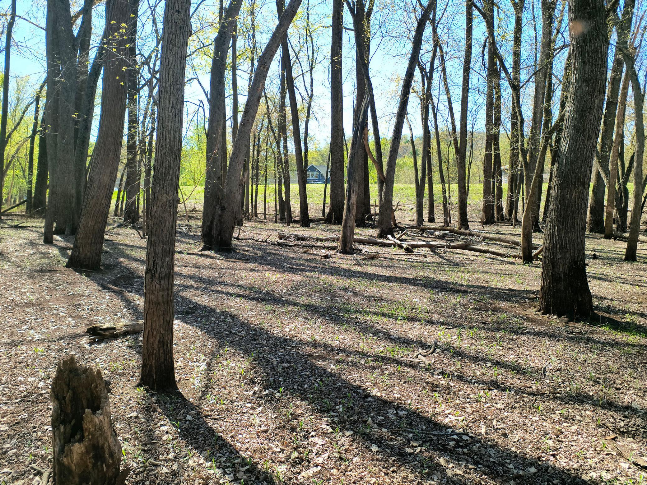 15955 35th Street S Afton MN 55001