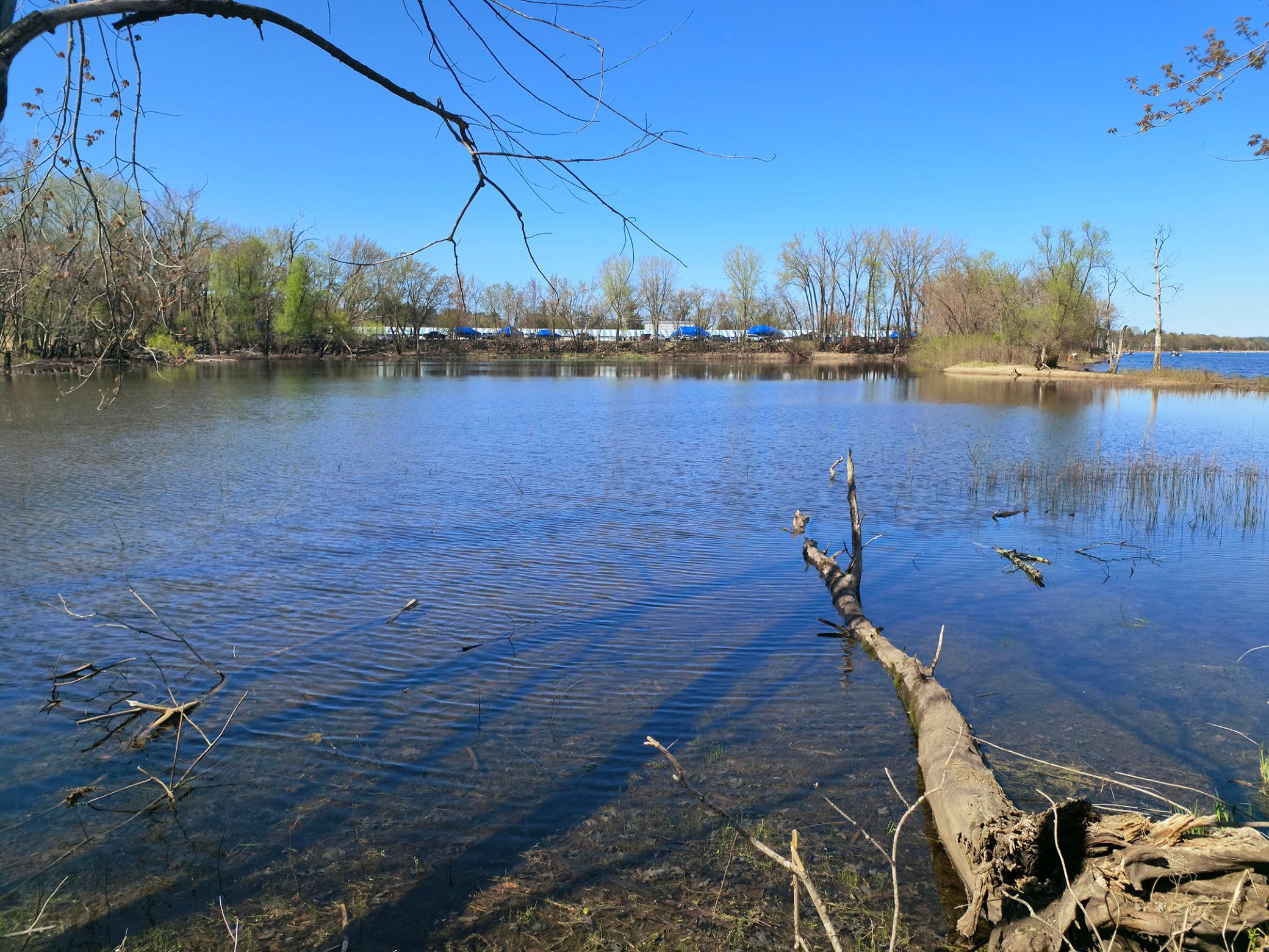 15955 35th Street S Afton MN 55001