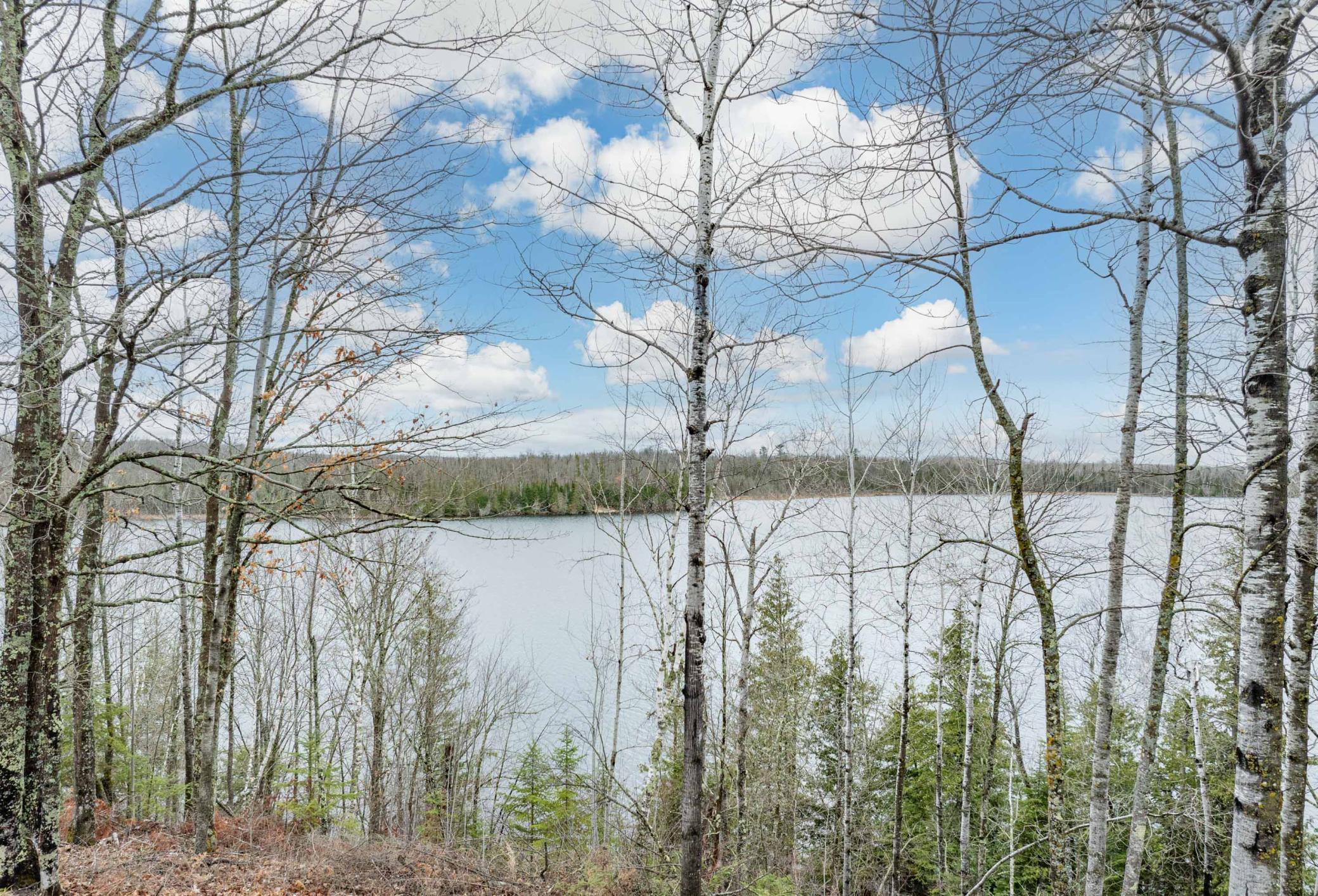 37873 N Star Lake Lane Marcell MN 56657