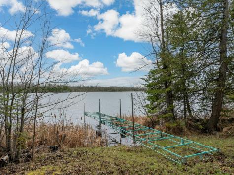 37873 N Star Lake Lane Marcell MN 56657