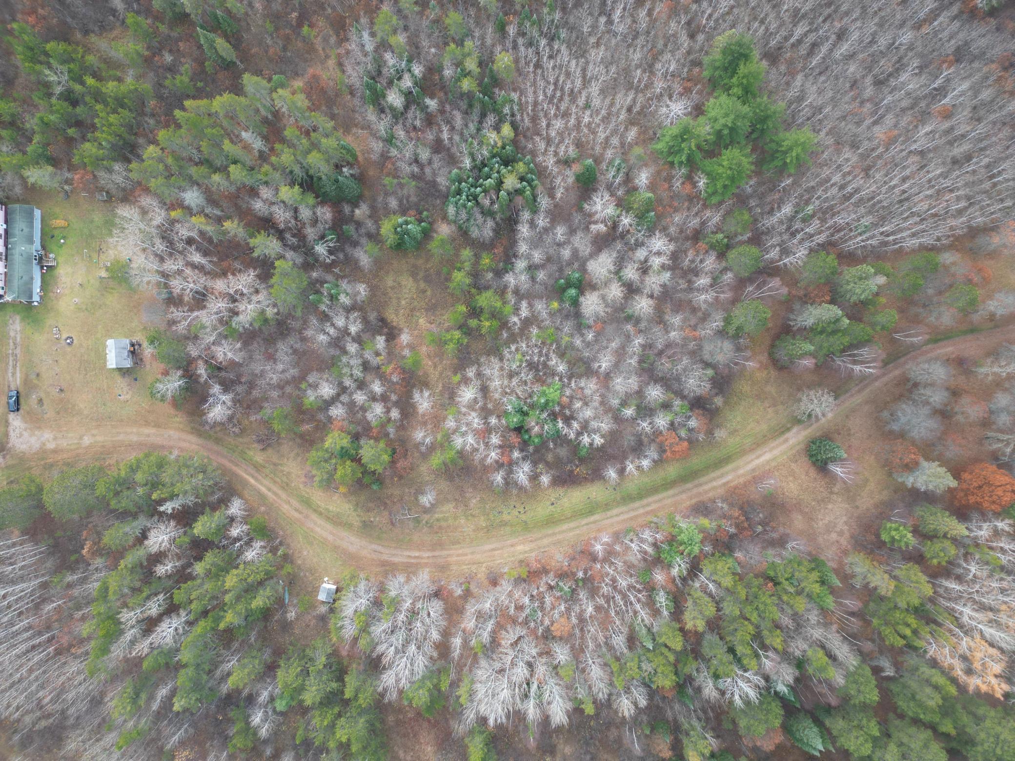 18727 State 64 Akeley MN 56433