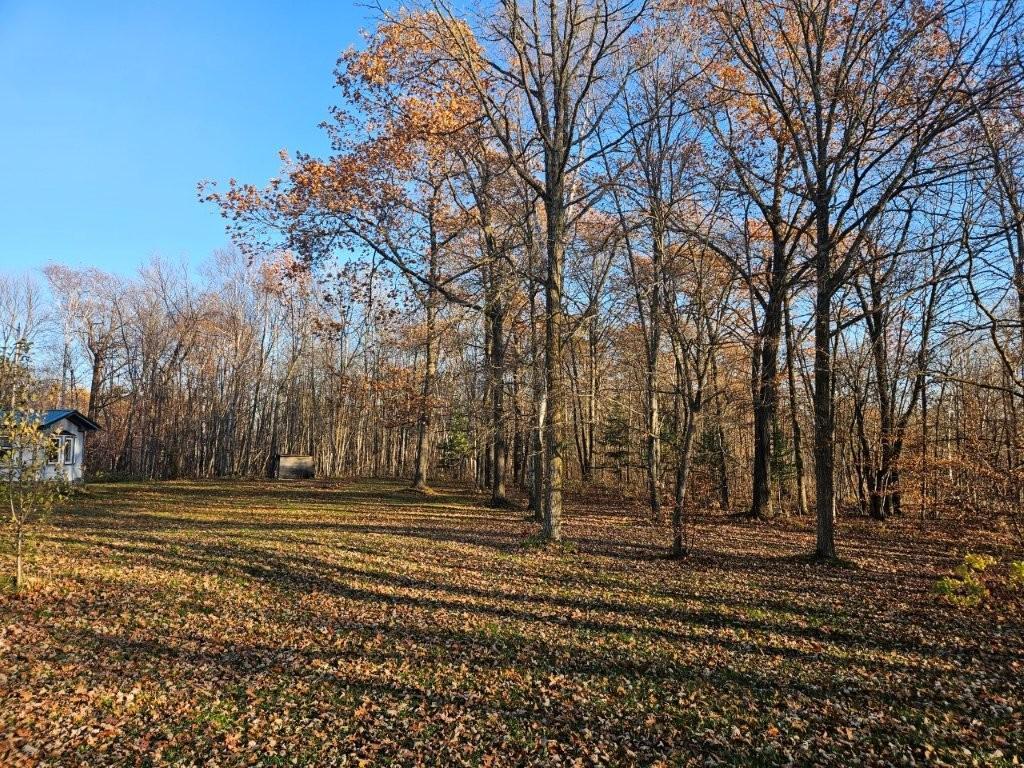 35808 Old Scale Drive Bagley MN 56621