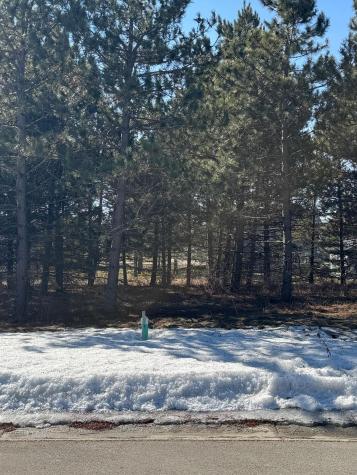 1933 Long Pine Drive Detroit Lakes MN 56501