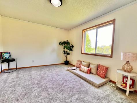 17229 Van Buren Street NE Ham Lake MN 55304