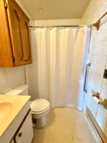 36678 Oak Point Drive New York Mills MN 56567