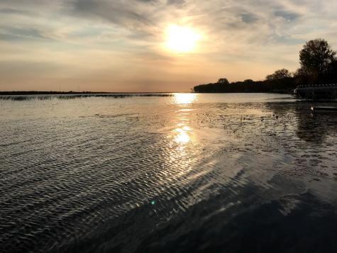 36678 Oak Point Drive New York Mills MN 56567