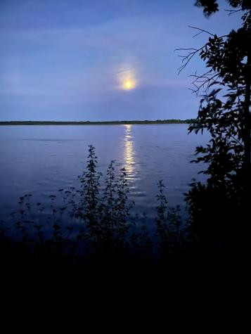 36678 Oak Point Drive New York Mills MN 56567