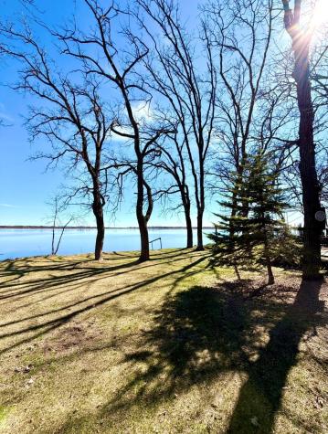 36678 Oak Point Drive New York Mills MN 56567