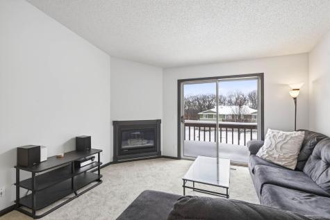 14025 44th Place N Plymouth MN 55446