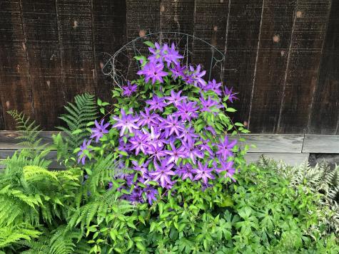 624 220th Avenue Somerset WI 54025