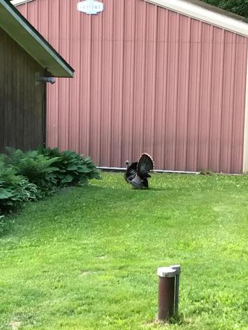 624 220TH Avenue Somerset WI 54025