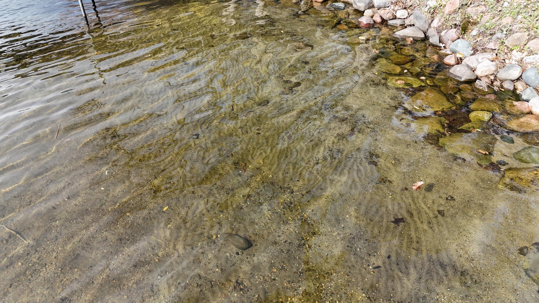 7939 Lake John Drive Annandale MN 55302