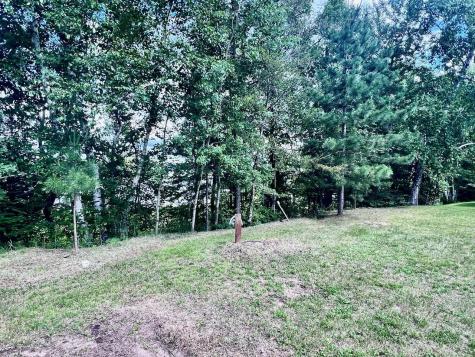 8931 Palm Road Britt MN 55710