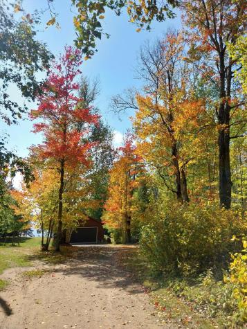 20319 County Road 52 Cook MN 55723