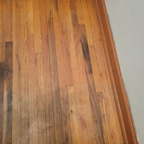 404 N Vine Street Fergus Falls MN 56537