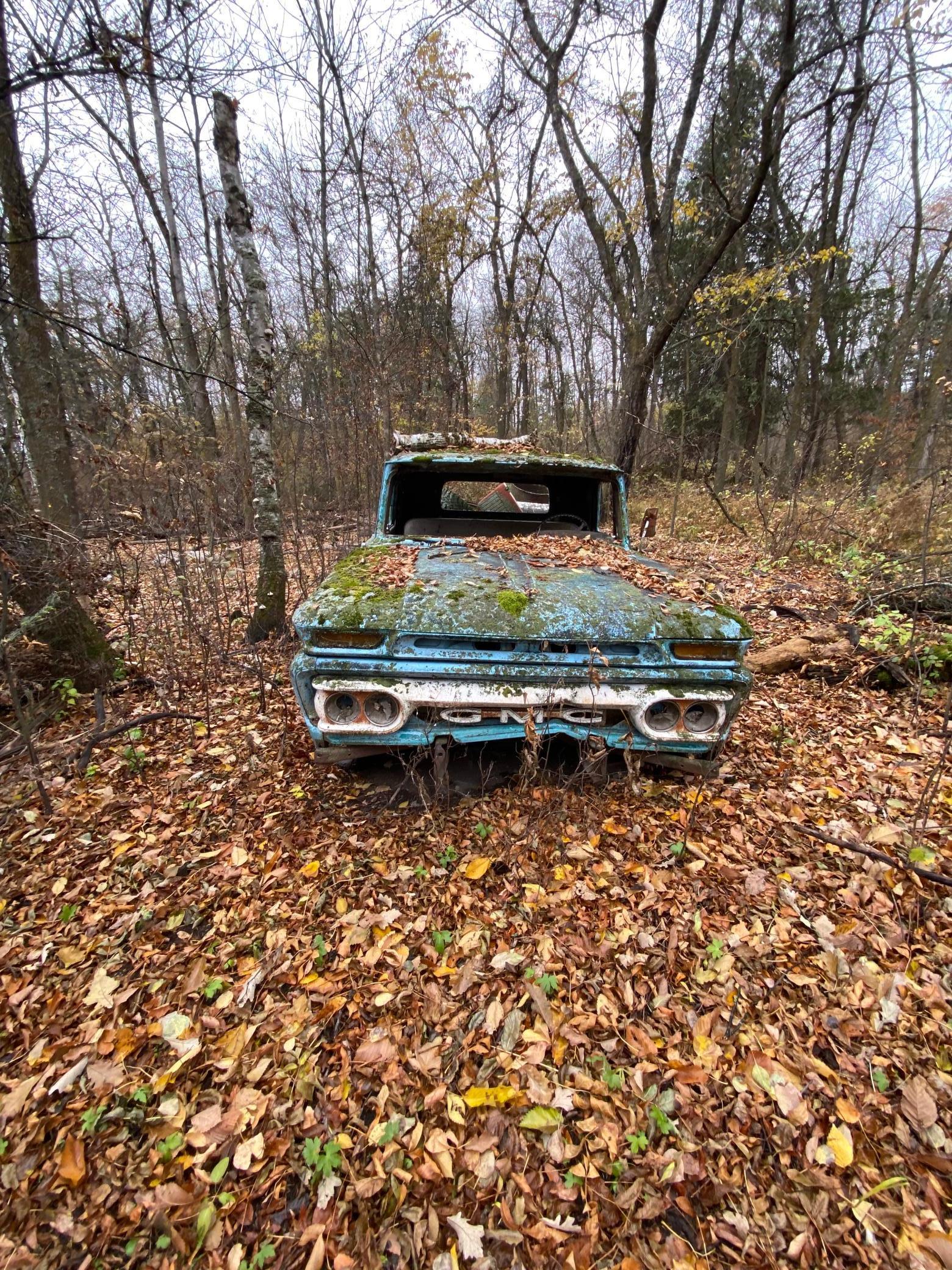 1365 Oak Angle Twp MN 56741