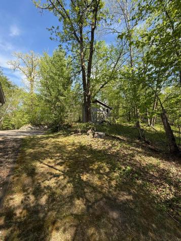 25006 Great Pine Drive Nevis MN 56467