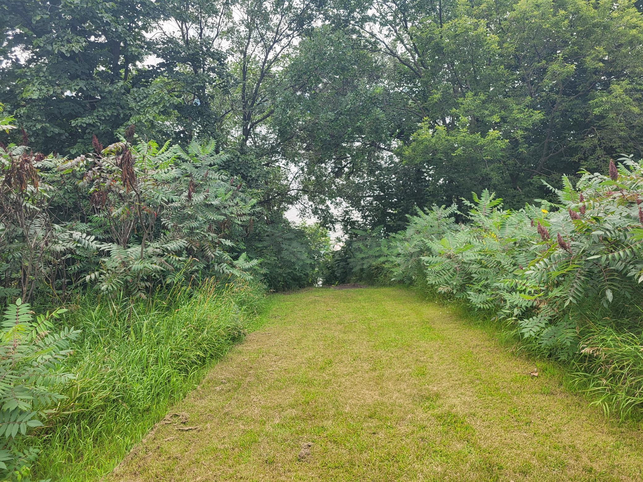 2502 Ranchwood Circle SE Alexandria MN 56308