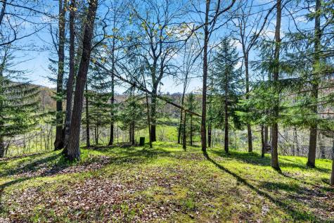 N576 Big Kegama Road Sarona WI 54870