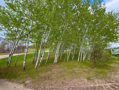 41970 400th Street Perham MN 56573