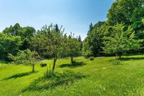 32990 Heilberger Drive Erhard MN 56534