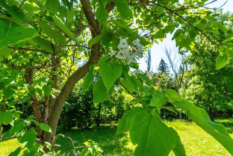 32990 Heilberger Drive Erhard MN 56534