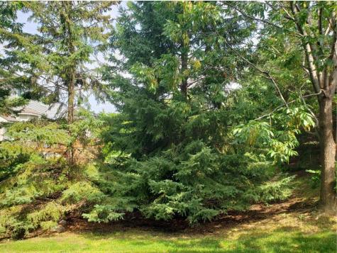 3104 Frontier Drive Woodbury MN 55129