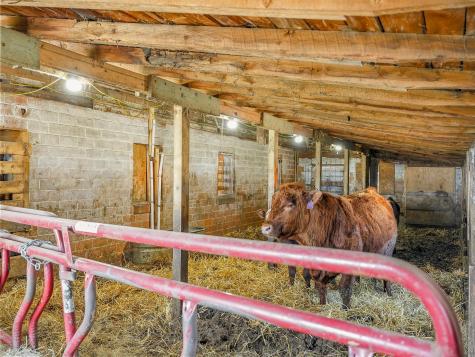11100 Co Highway 39 Frazee MN 56544