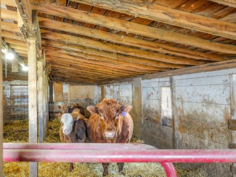 11100 Co Highway 39 Frazee MN 56544