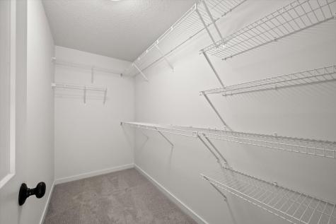 1974 S Lusitano Street Shakopee MN 55379