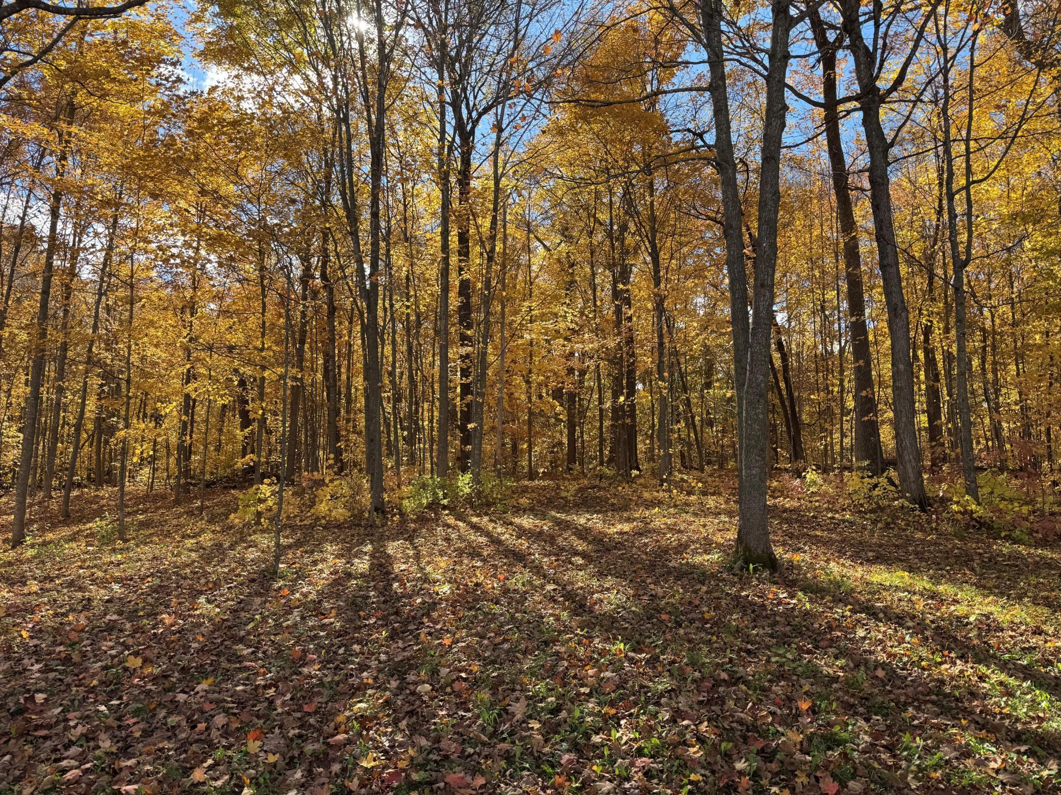 34038 County Road 10 Albany MN 56307