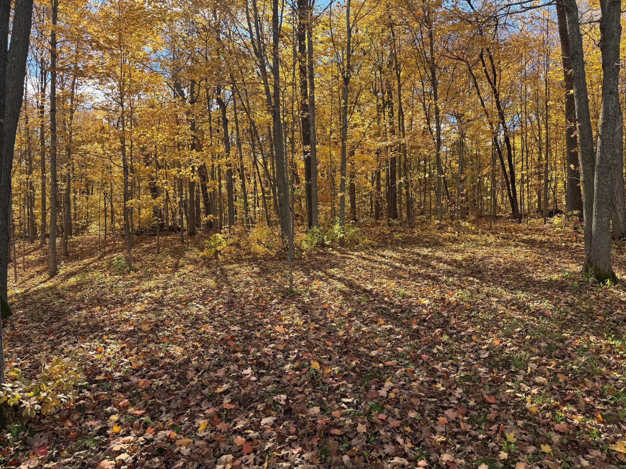 34038 County Road 10 Albany MN 56307