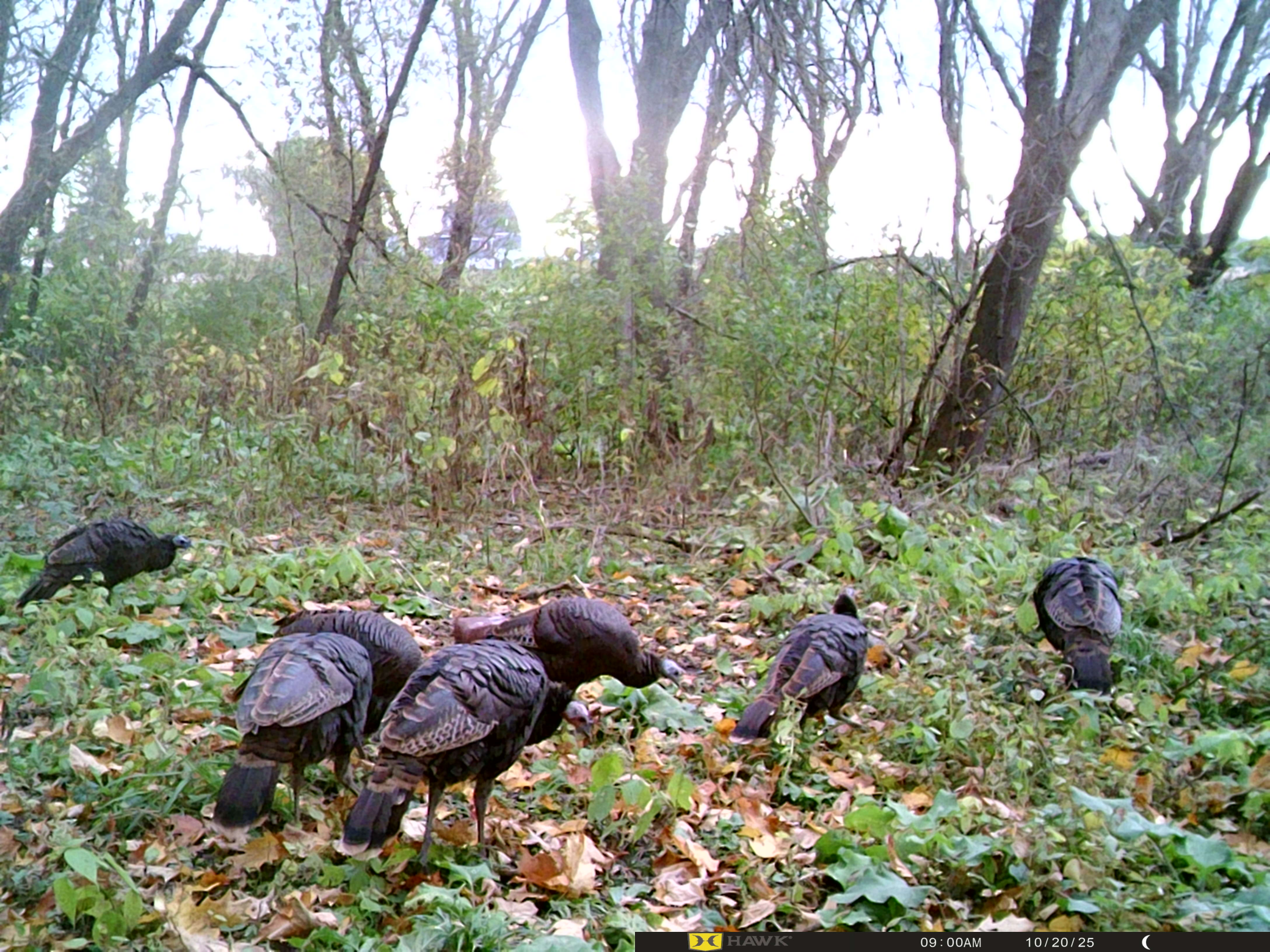 34038 County Road 10 Albany MN 56307