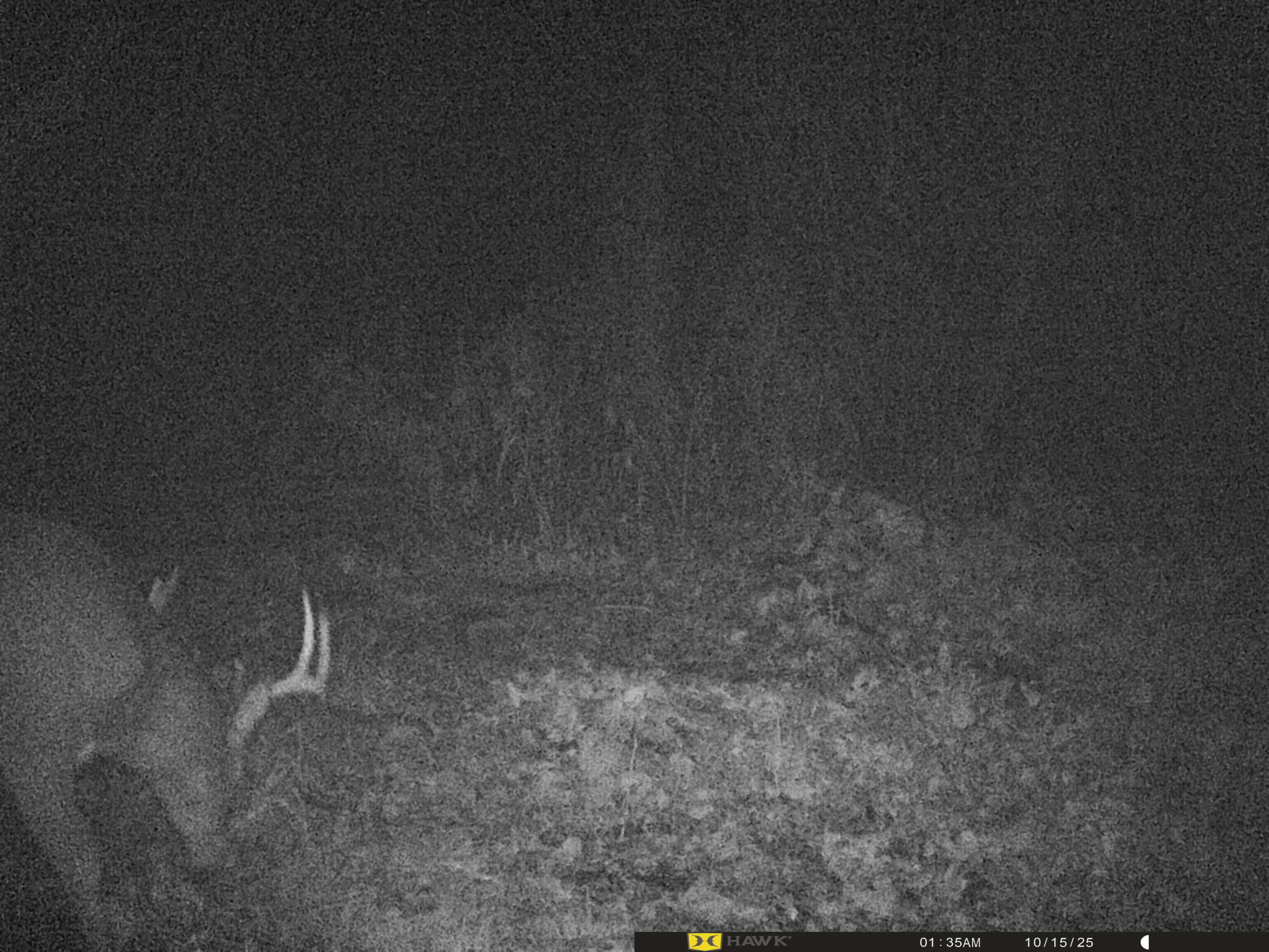 34038 County Road 10 Albany MN 56307