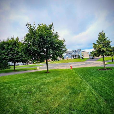 19727 Hazel Nut Court Lakeville MN 55044