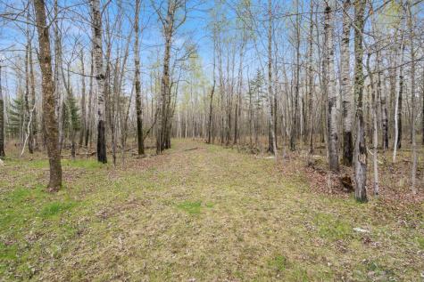 6046 Koller Road Cotton MN 55724