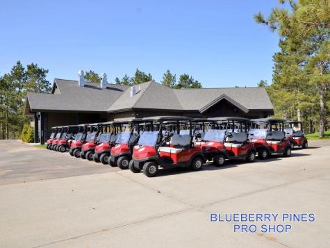 12153 Blueberry Loop Menahga MN 56464