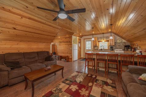 4862 White Birch Drive NE Remer MN 56672