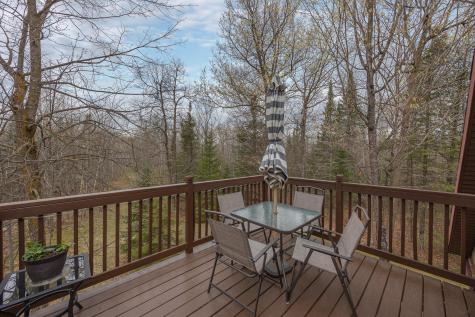 4862 White Birch Drive NE Remer MN 56672