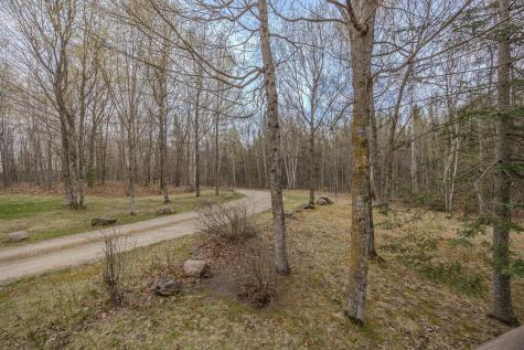 4862 White Birch Drive NE Remer MN 56672