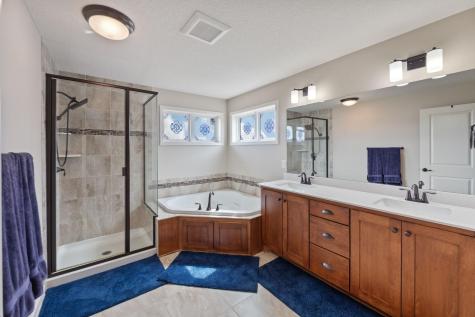 9830 Glacial Valley Alcove Woodbury MN 55129