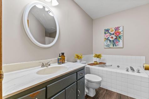 16259 Coquina Street NW Ramsey MN 55303