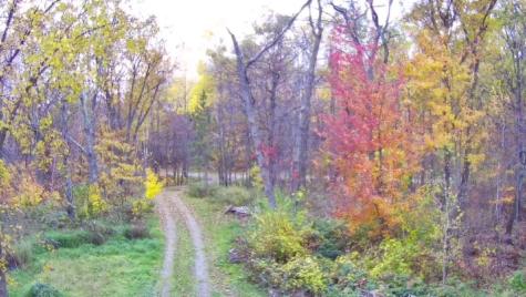 47802 Xylophone Road Garrison MN 56450