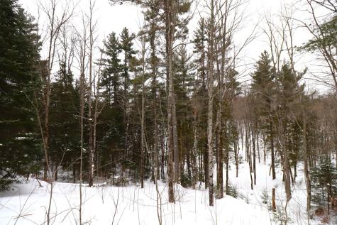 31715 Star Route Road Bayfield Twp WI 54814
